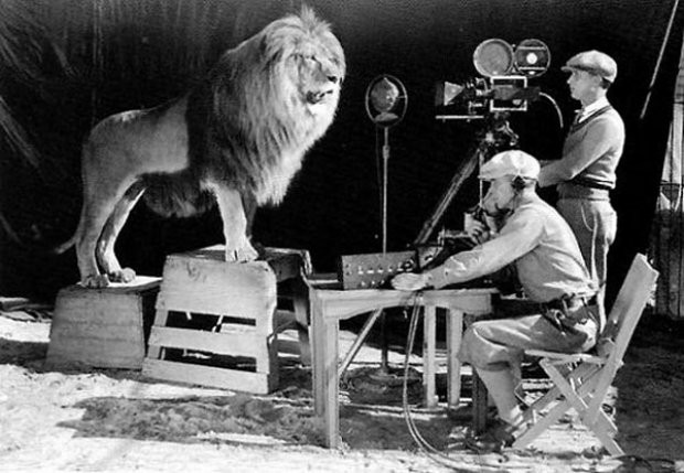 Η στιγμή που καταγράφεται βρυχηθμός του λιονταριού για το logo της MGM