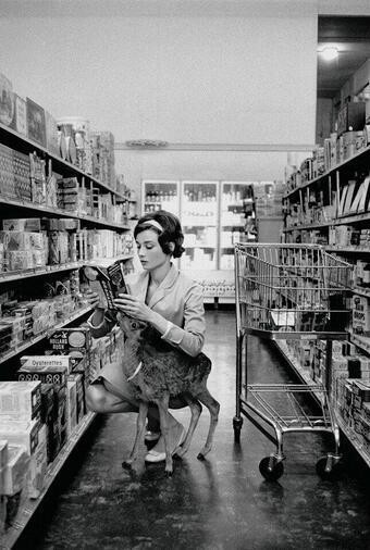 Η Όντρεϊ Χέμπορν ψωνίζει στο Μπέβερλι Χιλς μαζί με το... κατοικίδιο ελάφι της, τον Ιπ το 1958