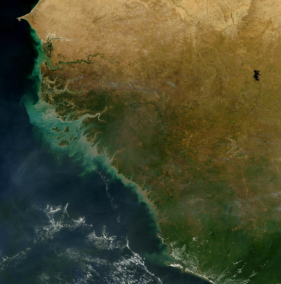 Ακτή Ελεφαντοστού: Η πατρίδα του Ντρογκμπά μαζί με τις γειτόνισσές της Σενεγάλη, Μάλι, Λιβερία, Σιέρα Λεόνε, Γουινέα, Γουινέα Μπισάου και Γκάμπια