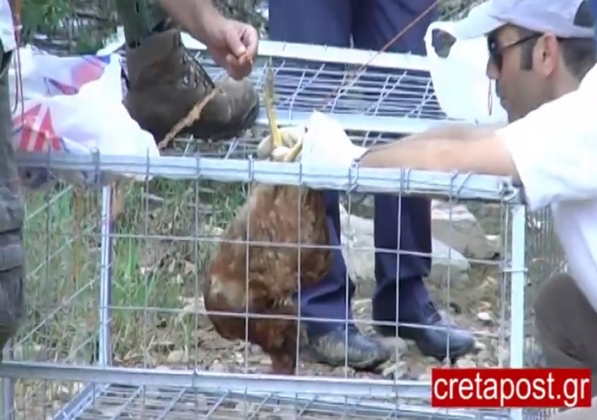 Φωτό - cretapost.gr