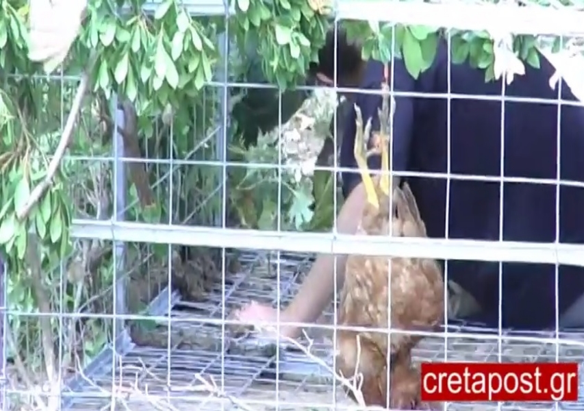 Φωτό - cretapost.gr