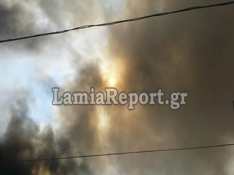 ΦΩΤΟ - lamiareport.gr