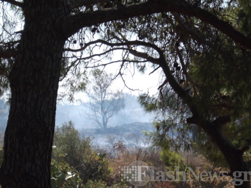 ΦΩΤΟ - flashnews.gr