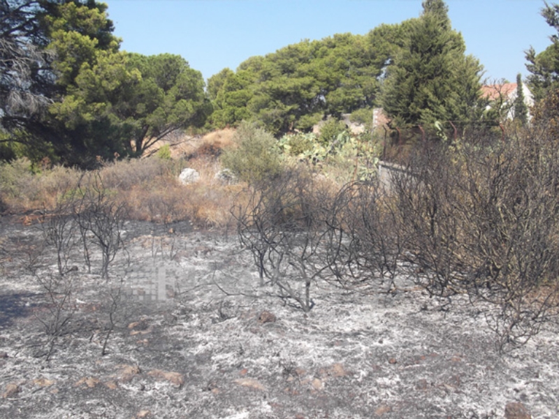 ΦΩΤΟ - flashnews.gr