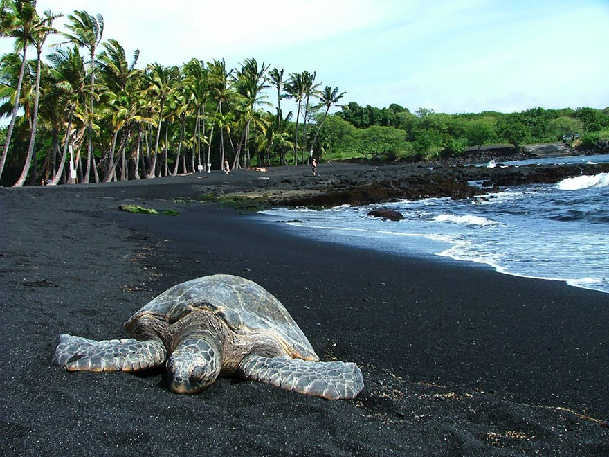 Punaluu Black Sand Beach/Χαβάη 