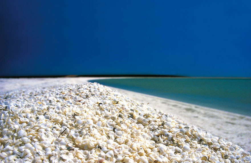 Shell Beach, Shark Bay/ Australia