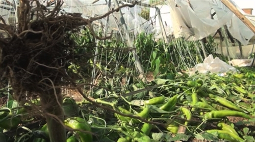 ΦΩΤΟ από το cretapost