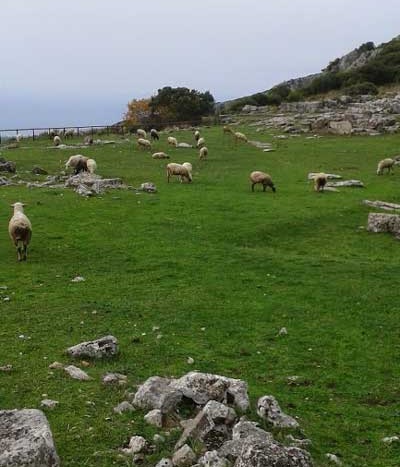 ΦΩΤΟ από το pamepreveza