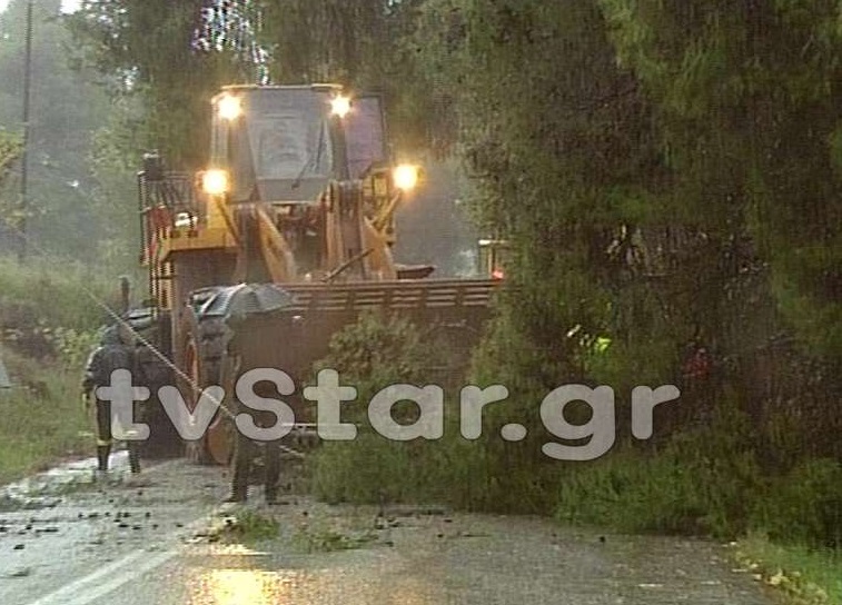ΦΩΤΟ από το LamiaStar