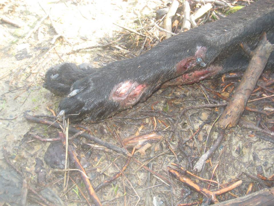 ΦΩΤΟ από iliaoikonomia