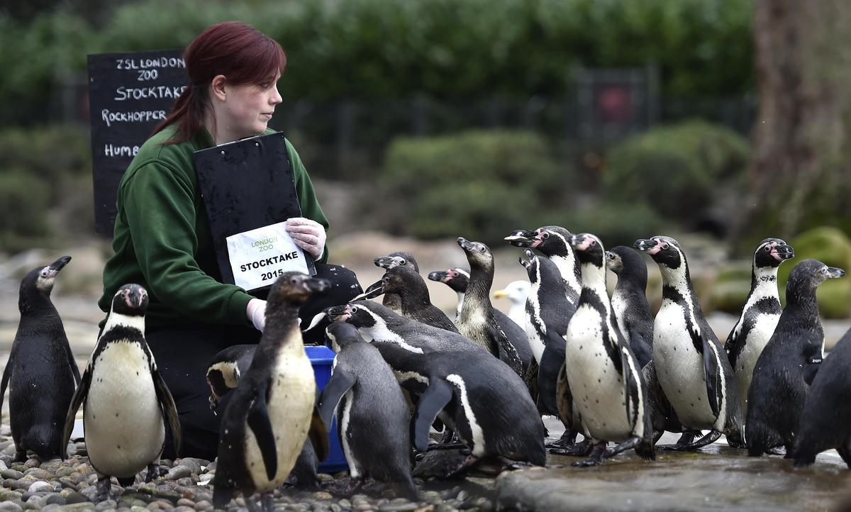 Φωτό - Reuters