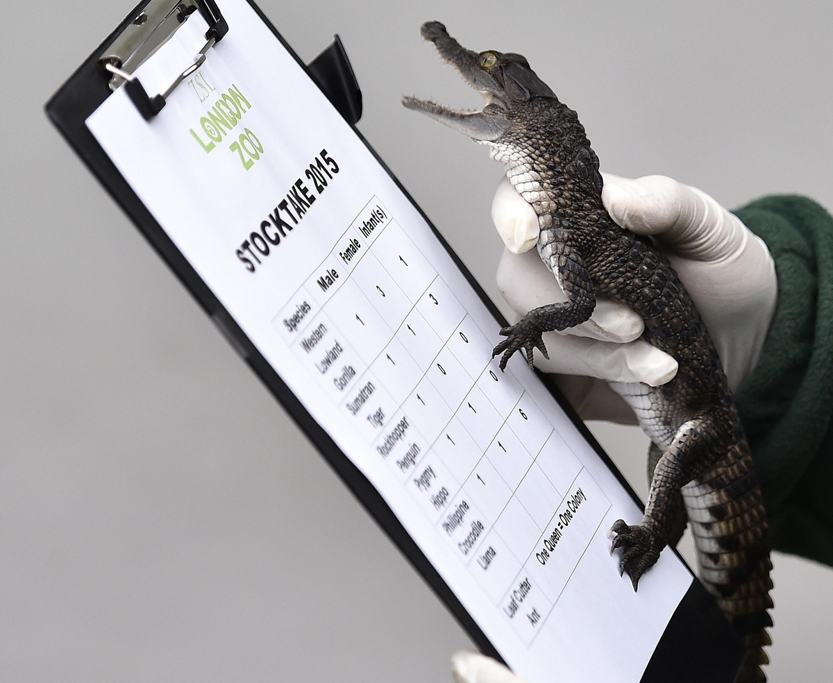 Φωτό - Reuters
