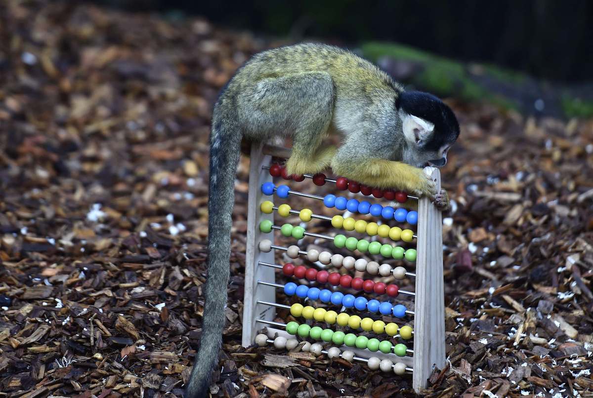 Φωτό - Reuters