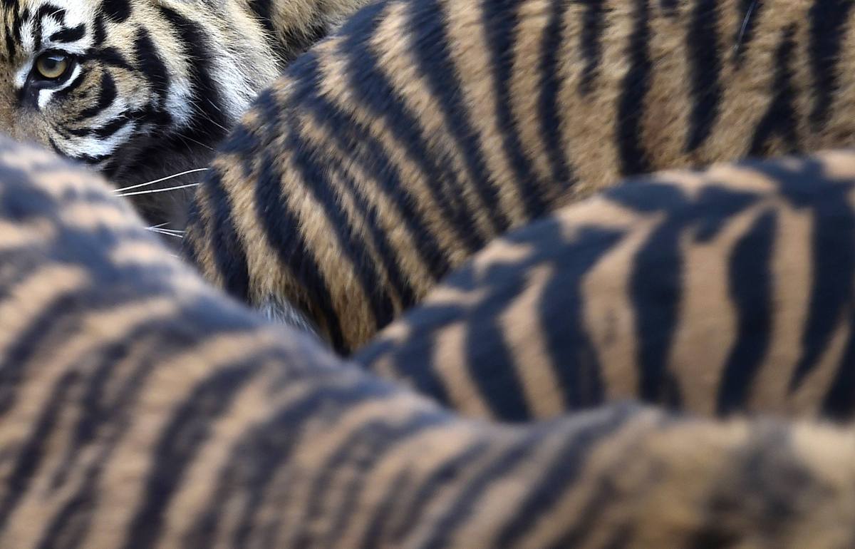 Φωτό - Reuters