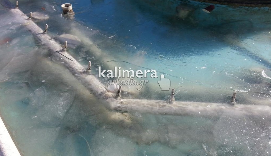 ΦΩΤΟ από το kalimera-arkadia