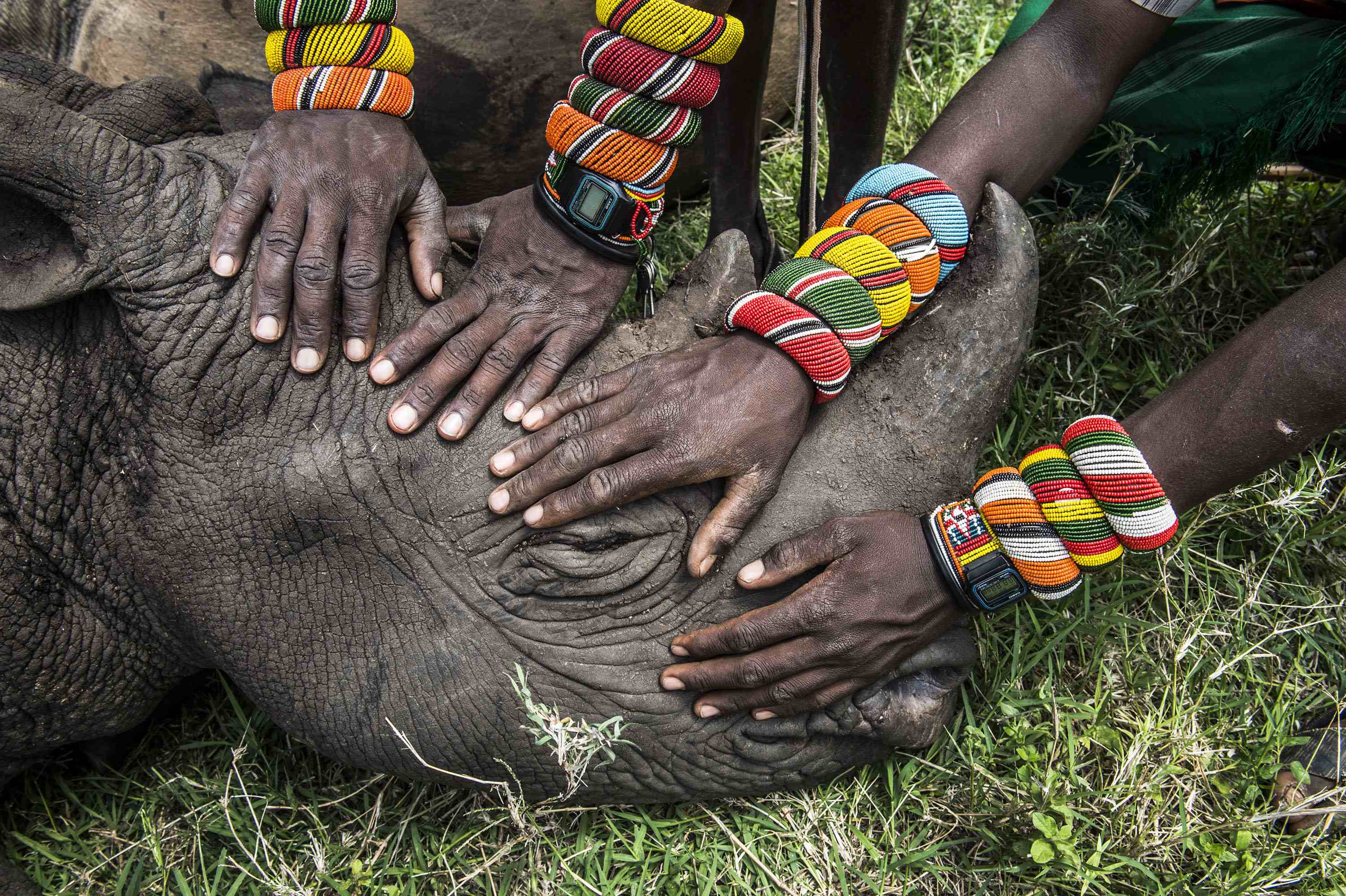 Ami Vitale | Νεαροί πολεμιστές Samburu συναντούν ρινόκερο για πρώτη φορά στη ζωή τους στην Κένυα