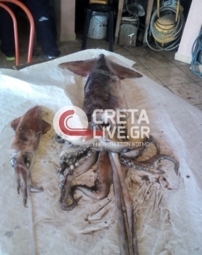 ΦΩΤΟ από το CretaLive