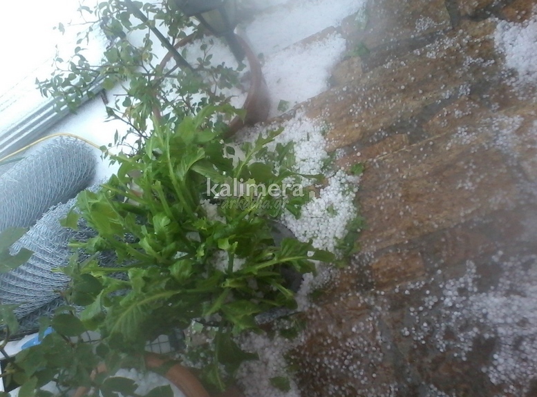 ΦΩΤΟ από το kalimera-arkadia
