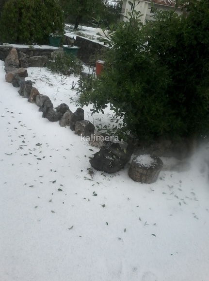 ΦΩΤΟ από το kalimera-arkadia