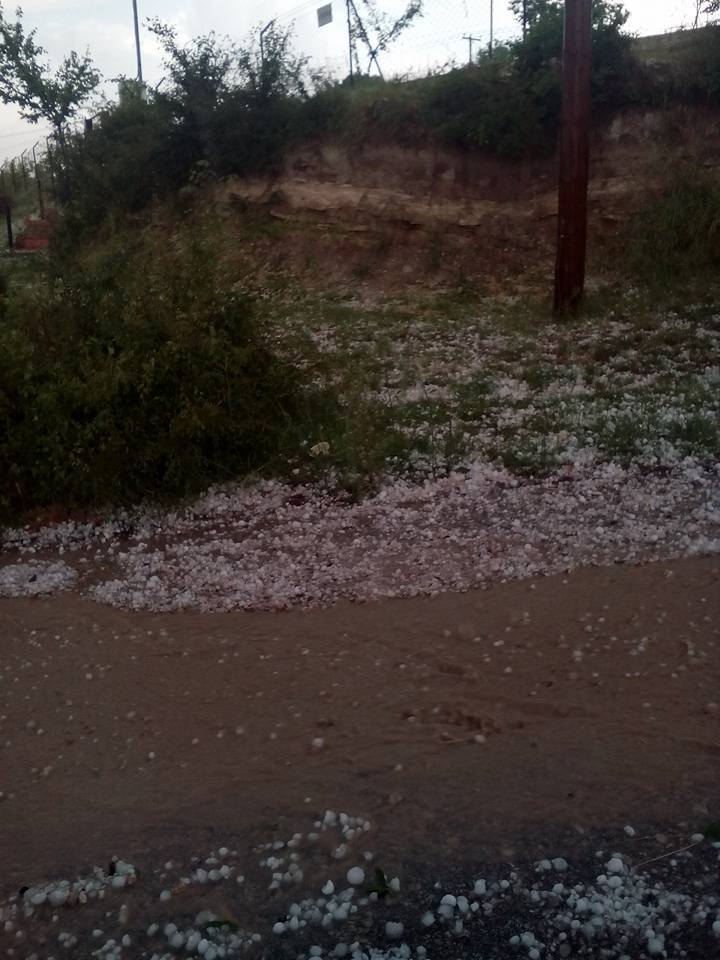 ΦΩΤΟ από το kozan.gr