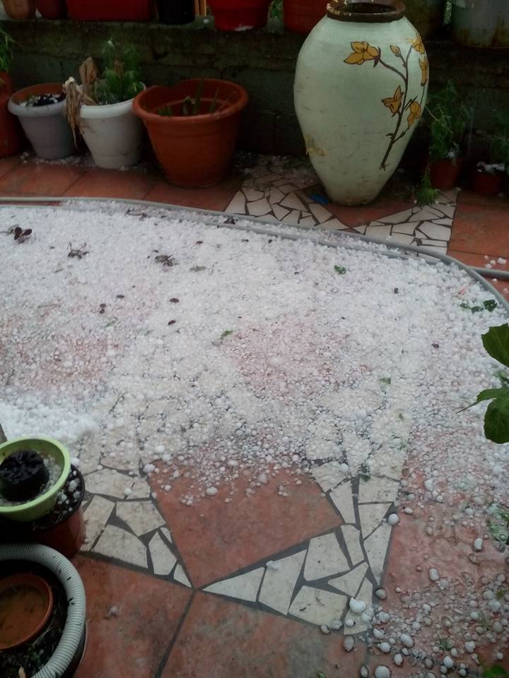 ΦΩΤΟ από το kozan.gr
