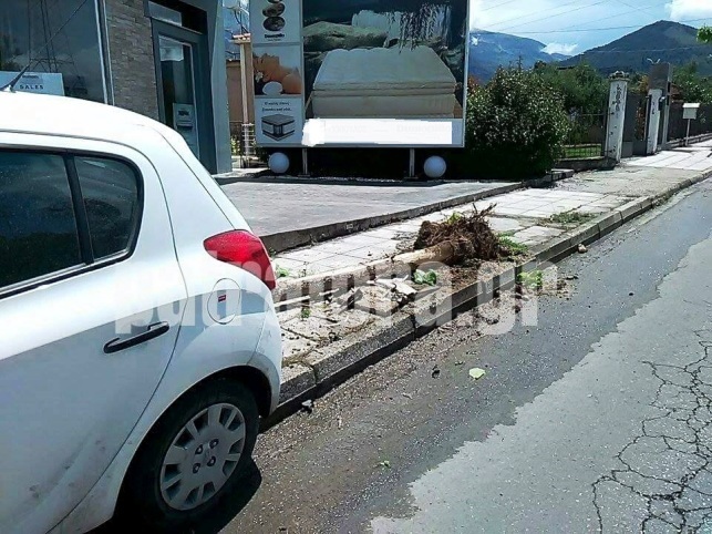 ΦΩΤΟ από το patratora