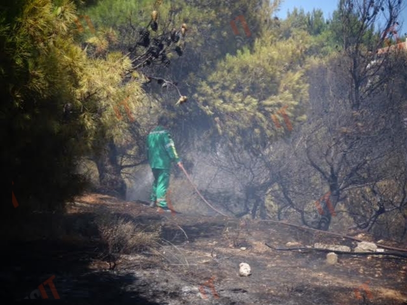 Δραματικές οι προσπάθειες των πυροσβεστών να σβήσουν τη φωτιά- Φωτό newsIT