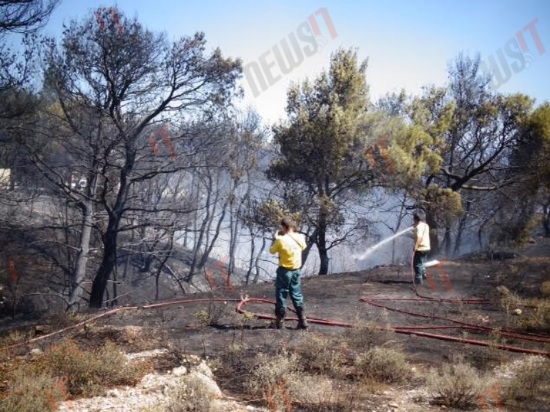 Καίει τα πάντα στο πέρασμά της η φωτιά - Φωτό newsIT