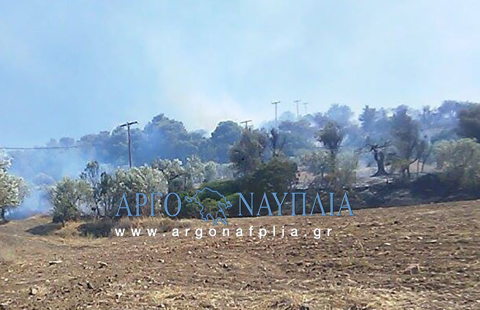ΦΩΤΟ από argonafplia