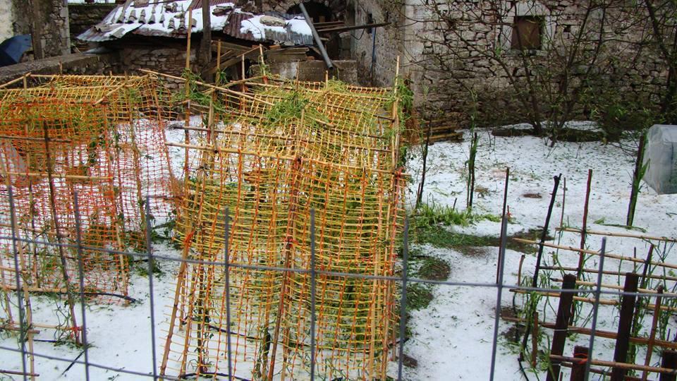 ΦΩΤΟ από kalimera-arkadia.gr