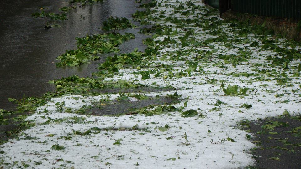 ΦΩΤΟ από kalimera-arkadia.gr