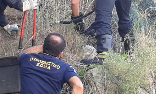 ΦΩΤΟ από xanthinea.gr