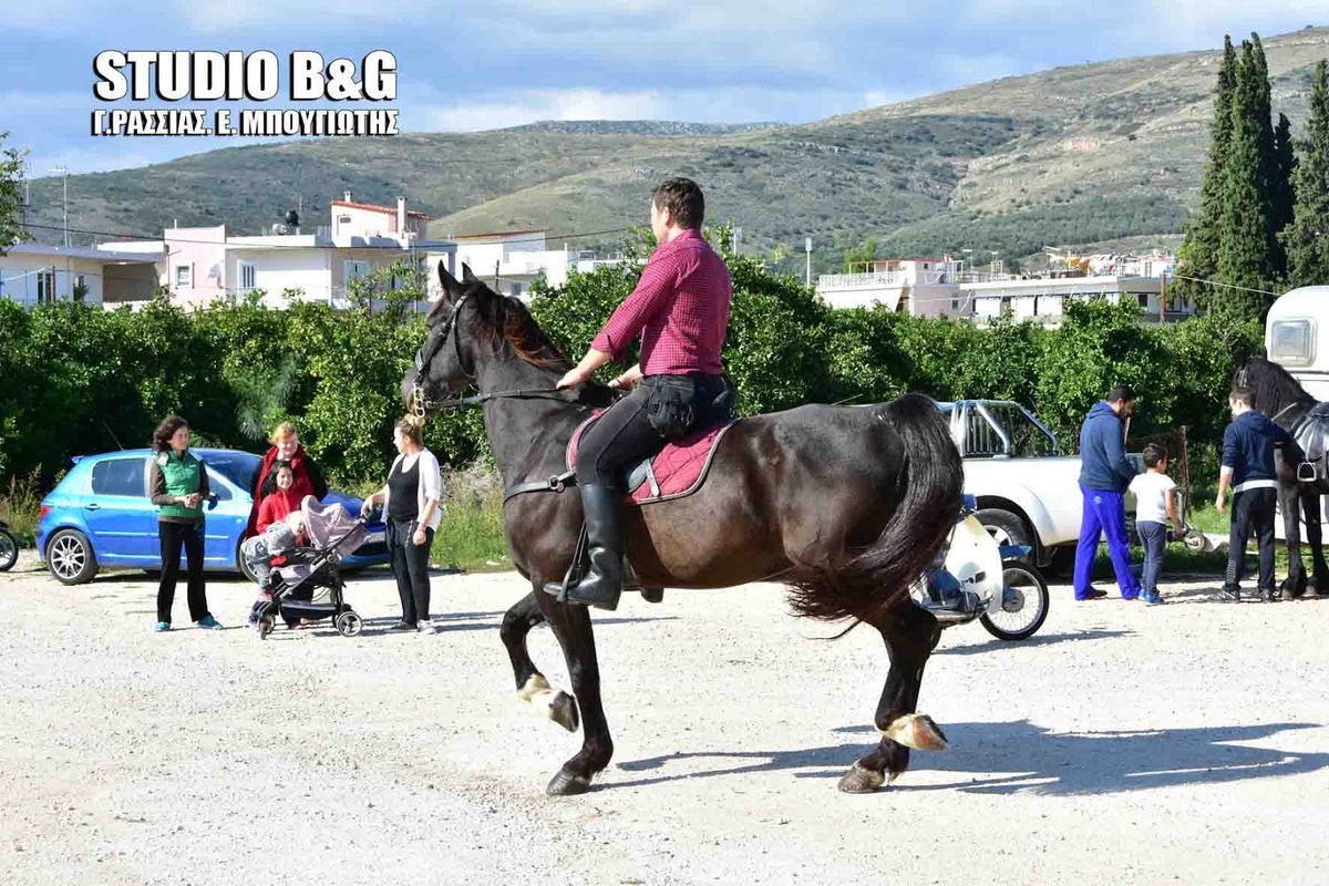 ΦΩΤΟ από argolikeseidhseis.gr
