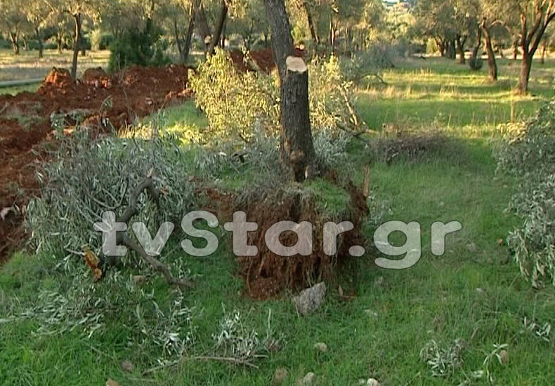 ΦΩΤΟ από lamiastar.gr