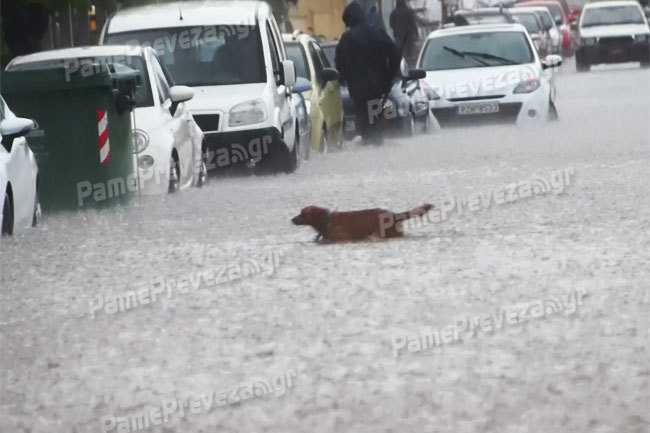 ΦΩΤΟ από pamepreveza.gr