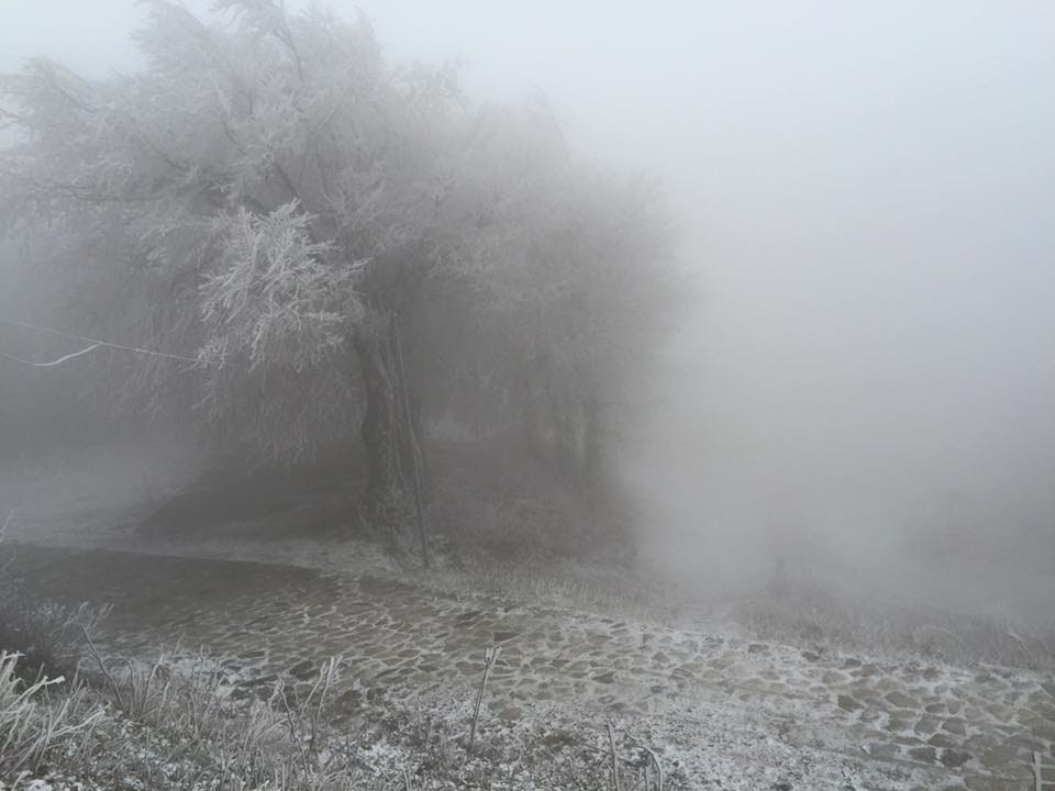 Στο χιονοδρομικό κέντρο στο Πήλιο - ΦΩΤΟ από weather-in-greece.gr