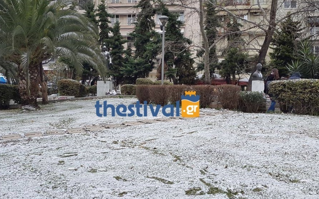 ΦΩΤΟ από thestival.gr