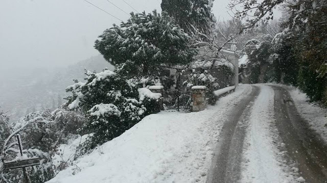 ΦΩΤΟ από skopelos-news