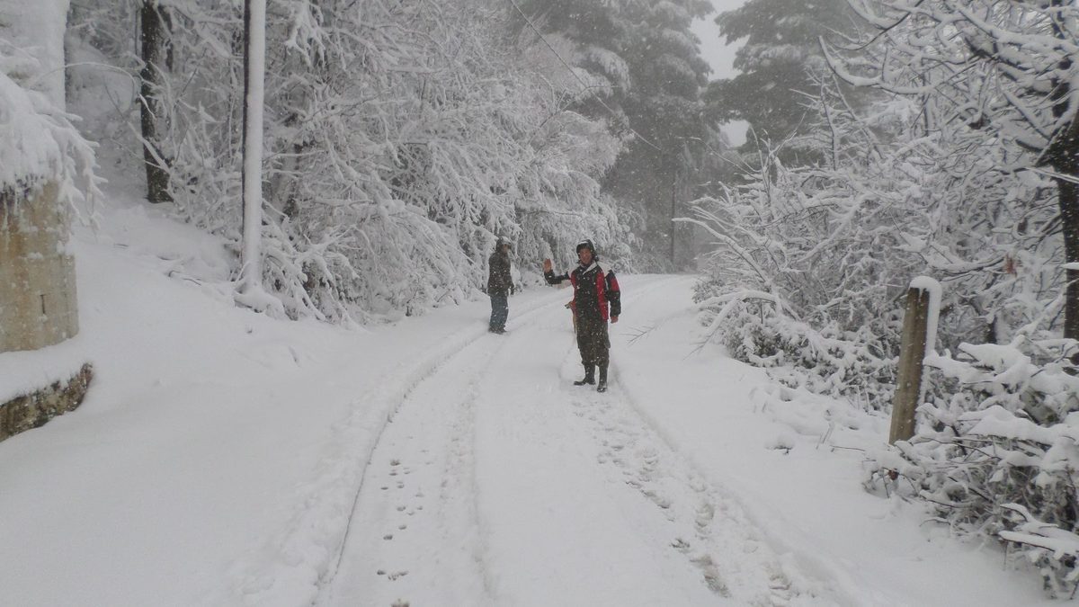 ΦΩΤΟ από skopelos-news