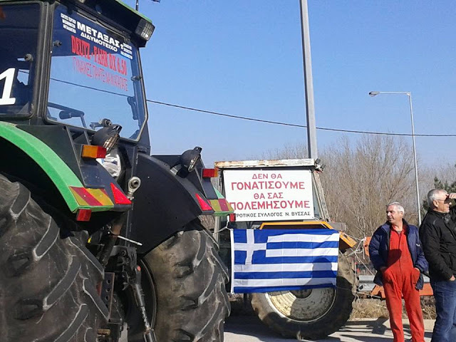ΦΩΤΟ από το xanthinea