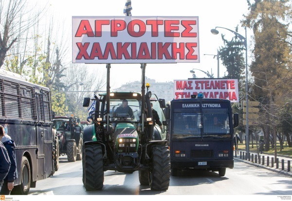 Δυναμικό "παρών" από τους αγρότες της Χαλκιδικής - ΦΩΤΟ EUROKINISSI