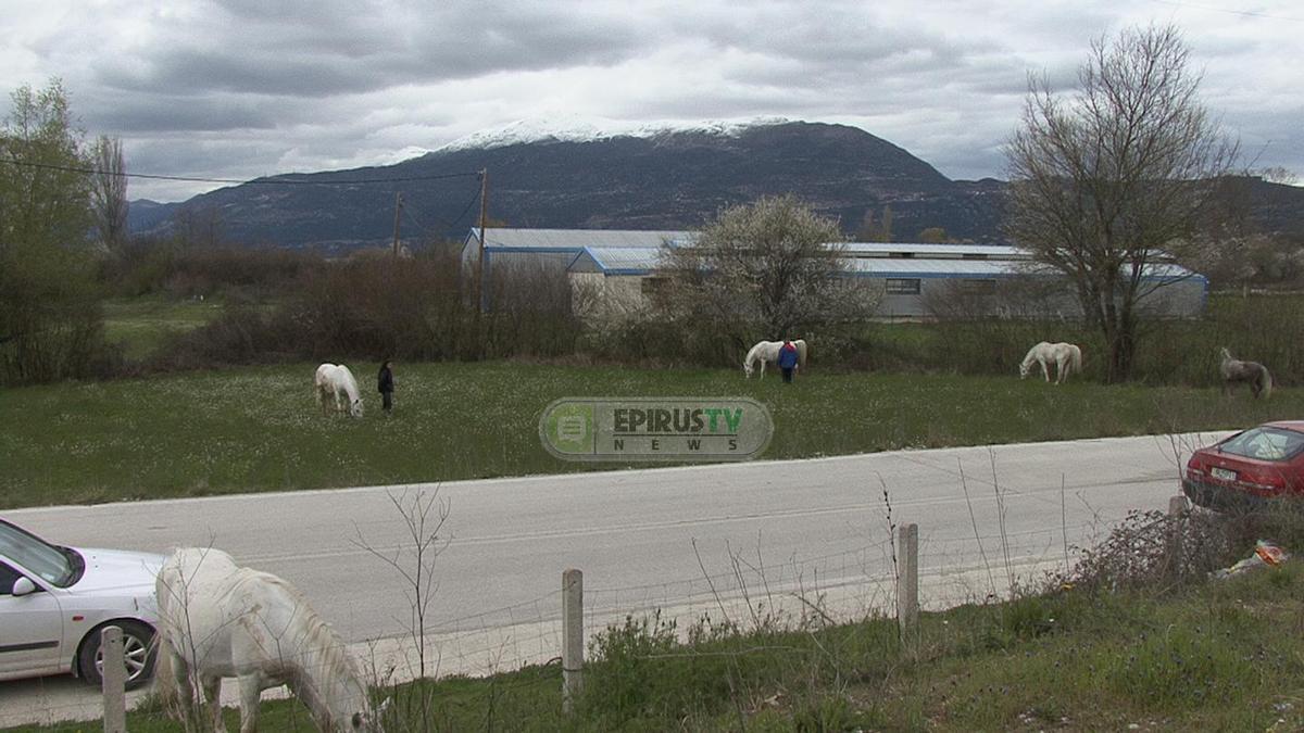 ΦΩΤΟ από epirus-tv