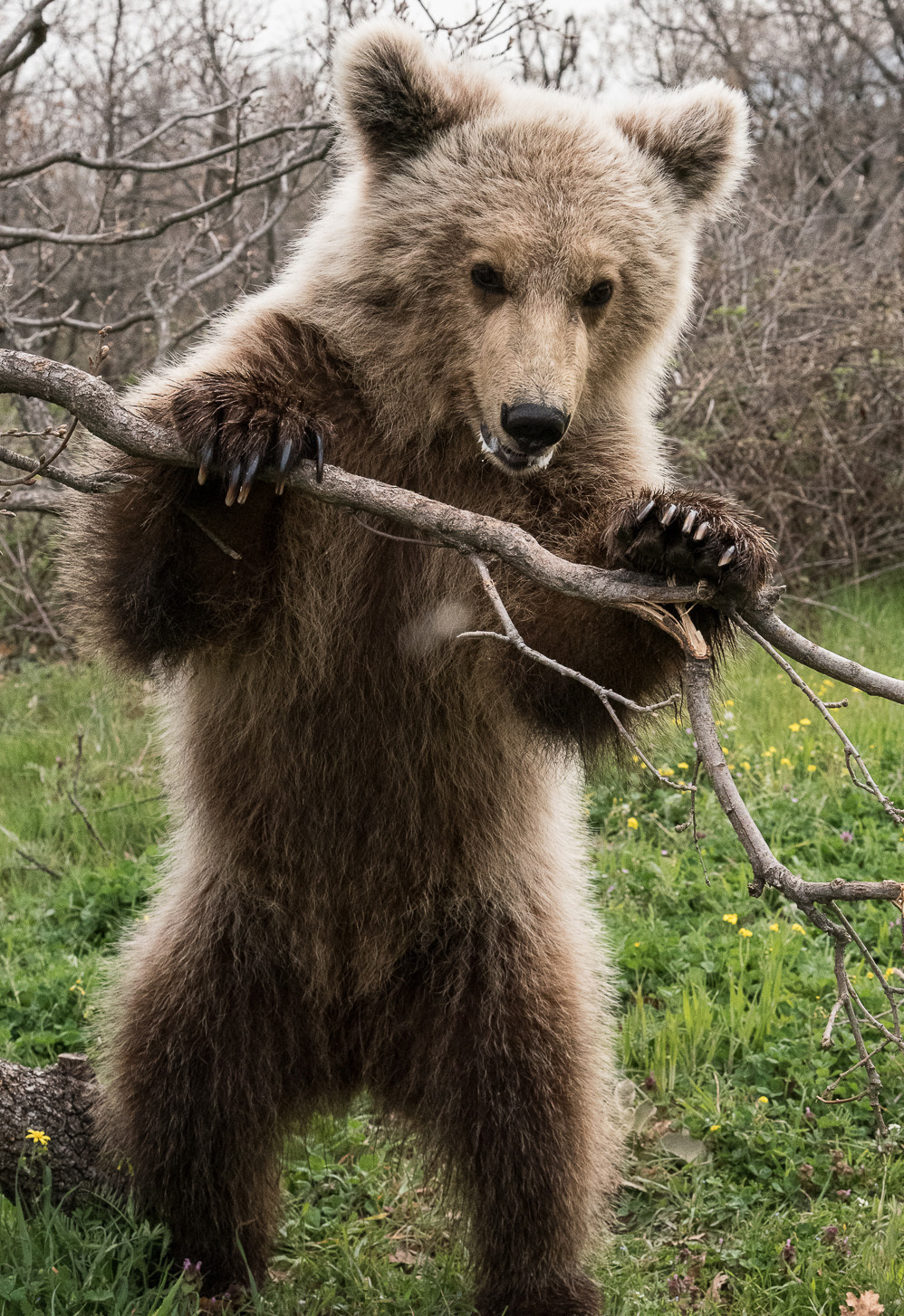 ΦΩΤΟ EUROKINISSI