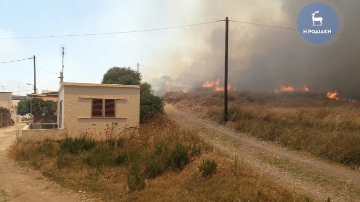 ΦΩΤΟ rodiaki