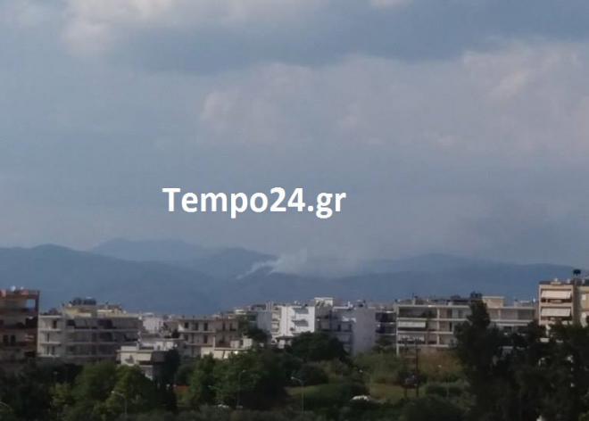 ΦΩΤΟ από το Tempo24