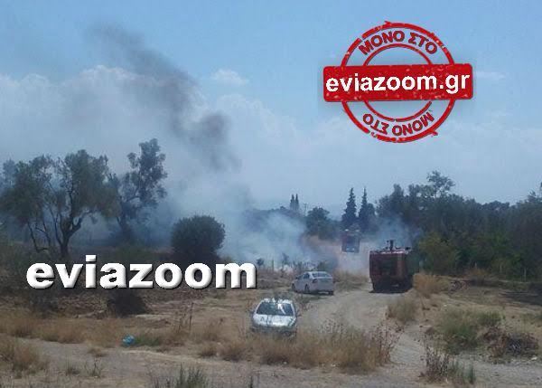 ΦΩΤΟ από το EviaZoom