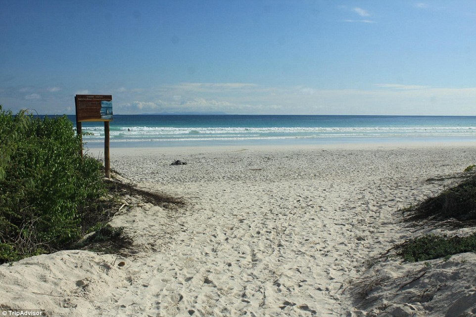 10. Galapagos Beach at Tortuga Bay, Puerto Ayora, Galapagos Islands