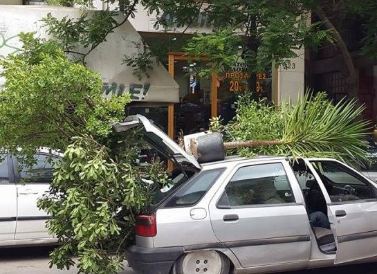 ΦΩΤΟ από thestival.gr
