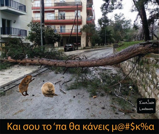 ΦΩΤΟ από xanthipress.gr