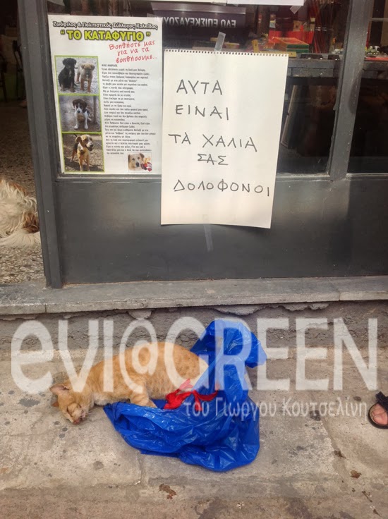 ΦΩΤΟ από eviagreen.gr